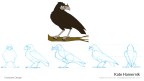 raven character design