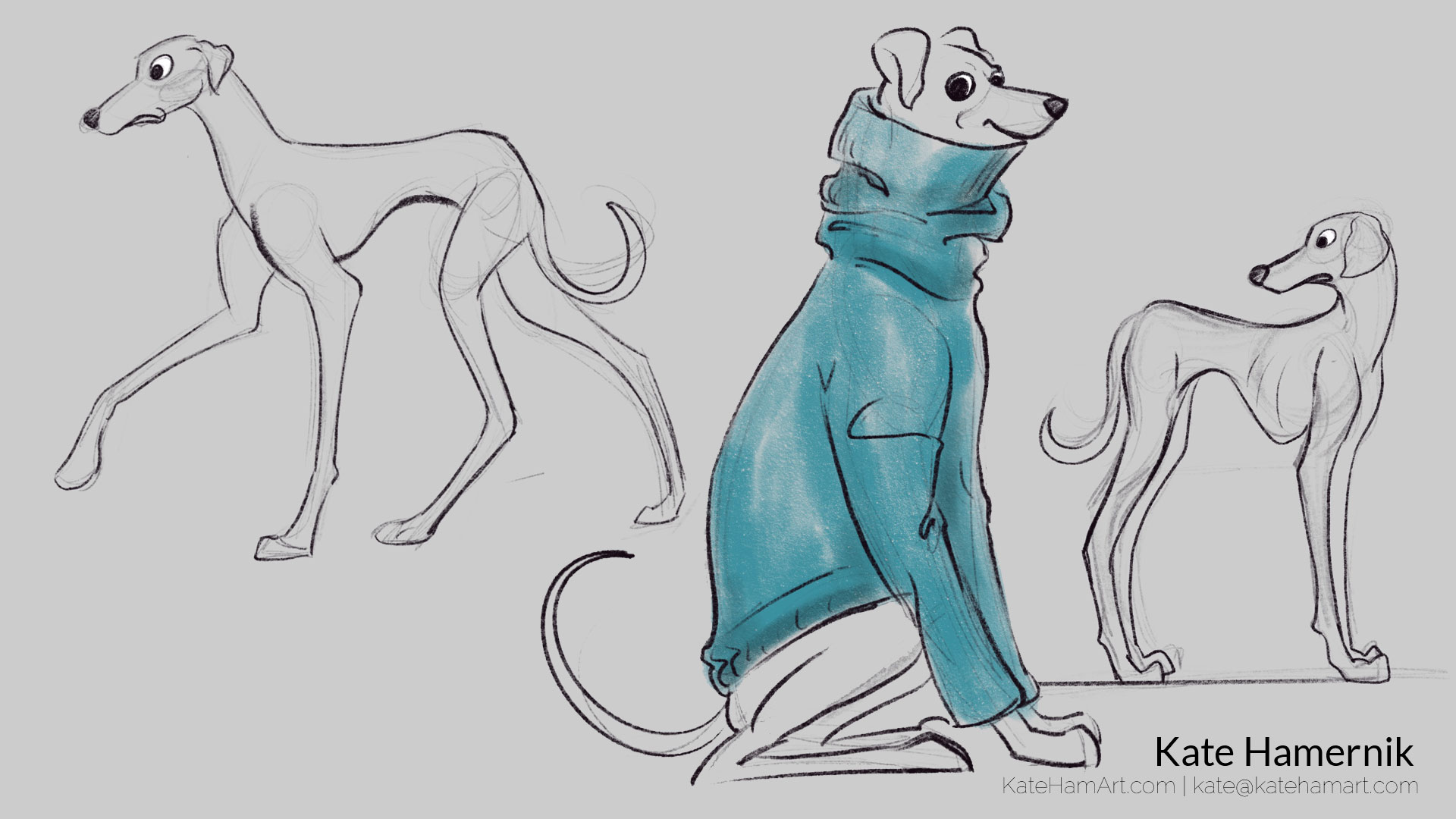 animal drawing portfolio greyhound