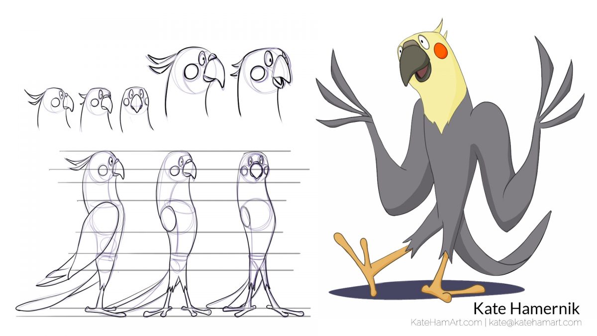 Cockatiel poses, character design, & cockatiel turnaround