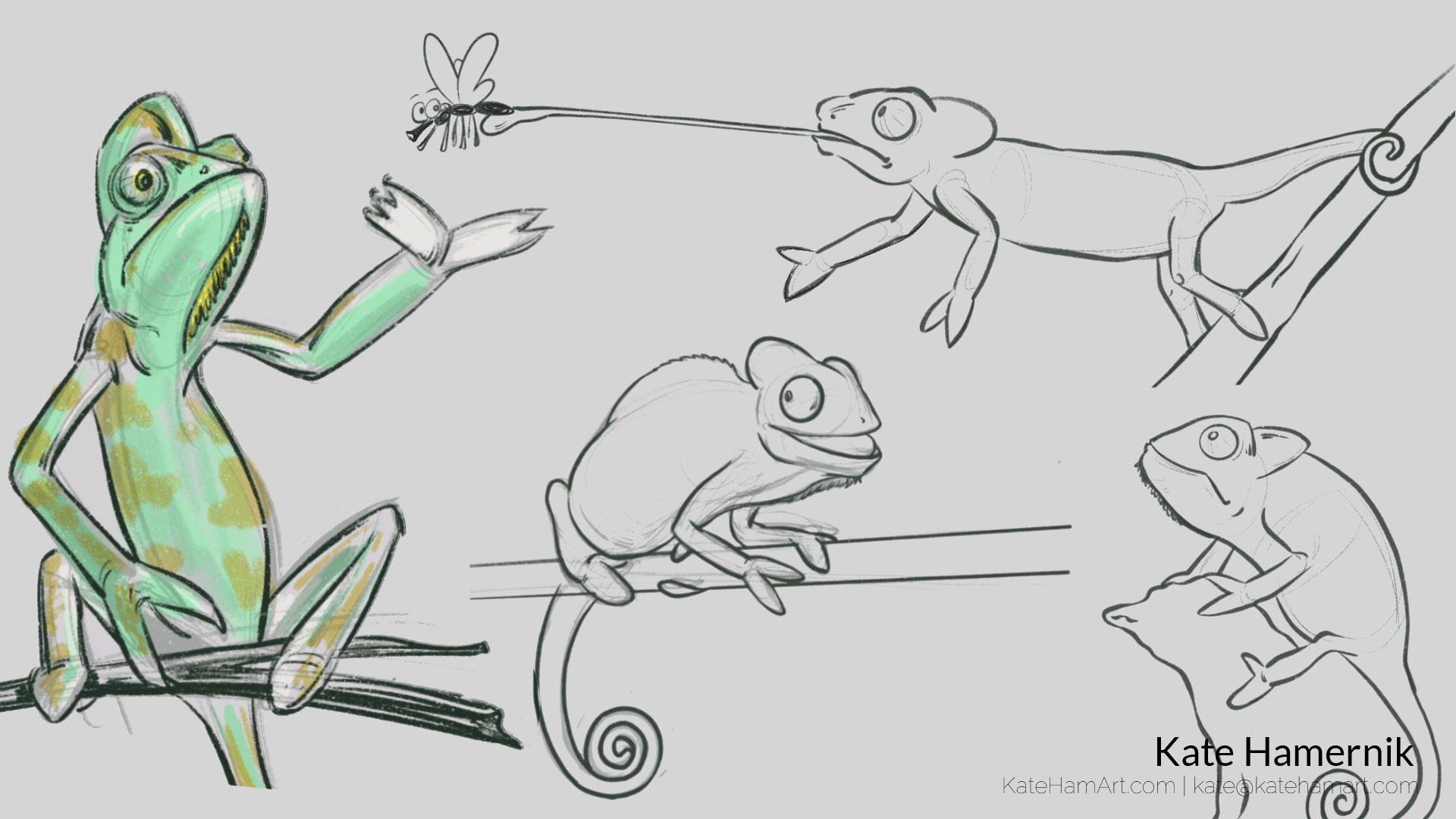 chameleon sketches