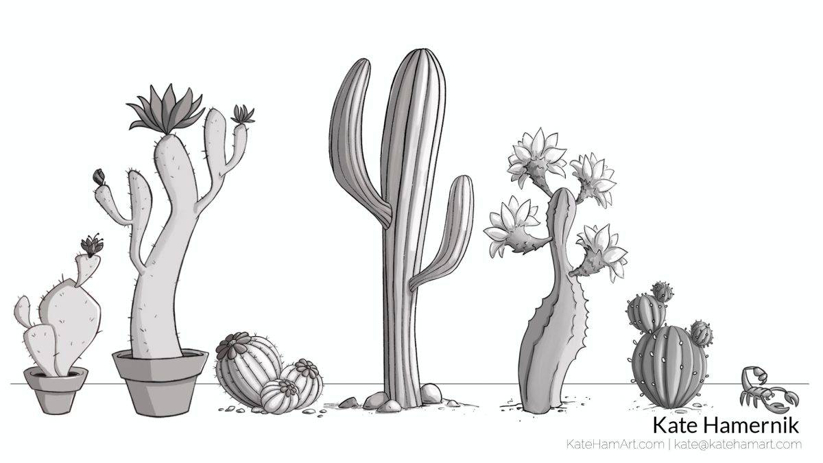 Prop portfolio Cactus