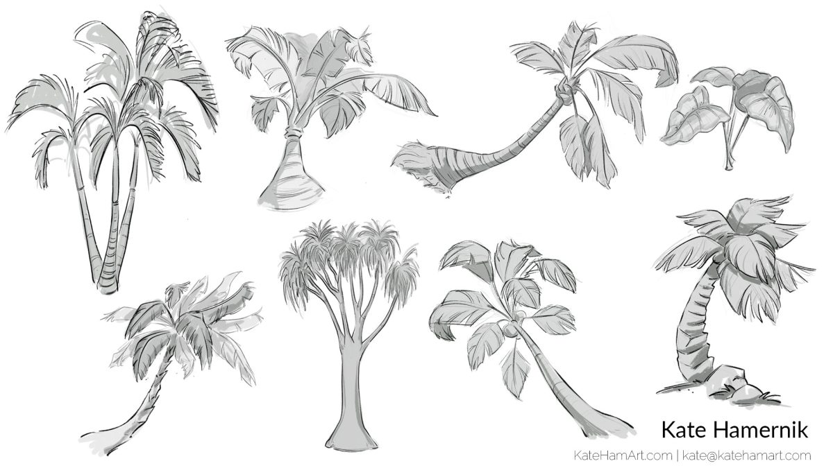 palm tree studies