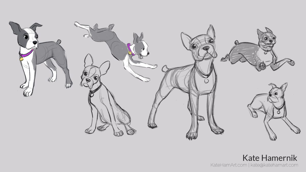 dog studies