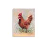 Little Red Hen - Image 2