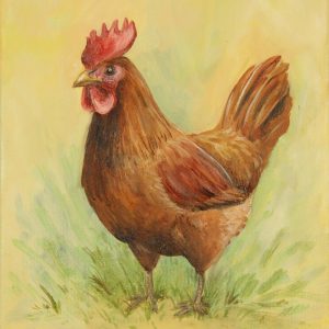 Little Red Hen