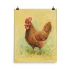 Little Red Hen - Image 2
