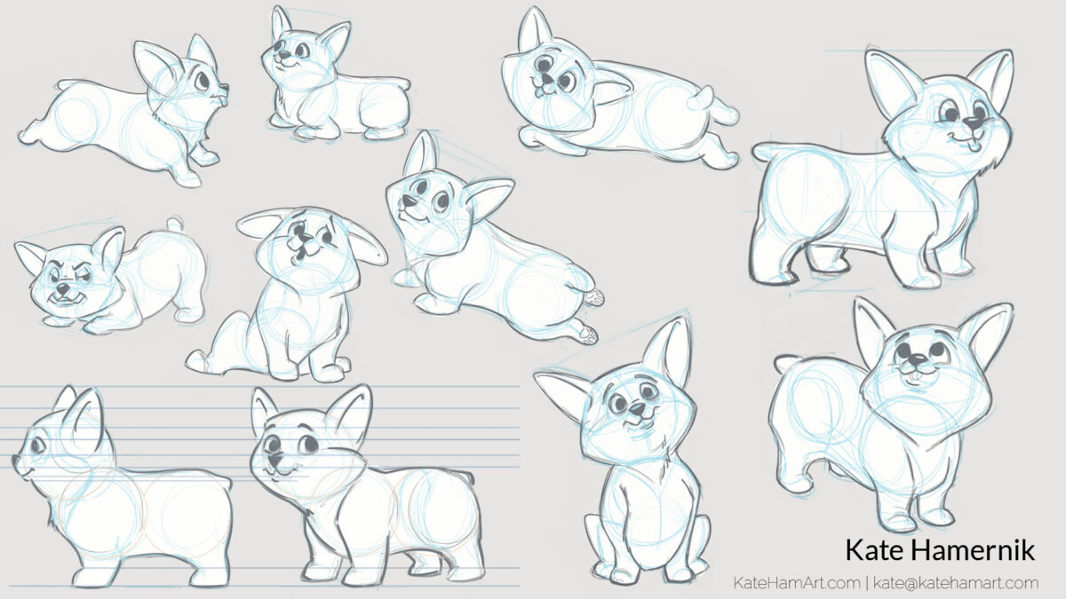 corgi sketches